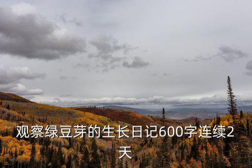 綠豆芽的生長(zhǎng)過程觀察日記，綠豆芽觀察日記