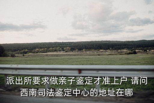 重慶市大坪正街英中心一號樓，重慶渝中區教育考試中心地址誰知道