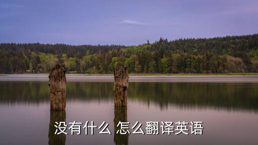 沒有什么 怎么翻譯英語