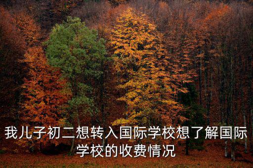 我兒子初二想轉(zhuǎn)入國際學(xué)校想了解國際學(xué)校的收費情況
