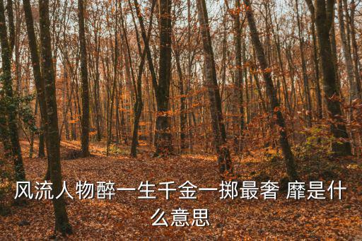 風流人物醉一生千金一擲最奢 靡是什么意思