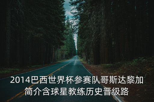 2014巴西世界杯參賽隊(duì)哥斯達(dá)黎加簡(jiǎn)介含球星教練歷史晉級(jí)路