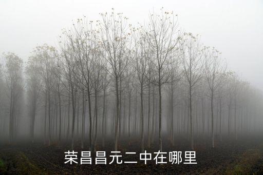 重慶市榮昌區昌元鎮昌元中學，預測2013年重慶市榮昌縣昌元二中中考指標到校錄取分數線