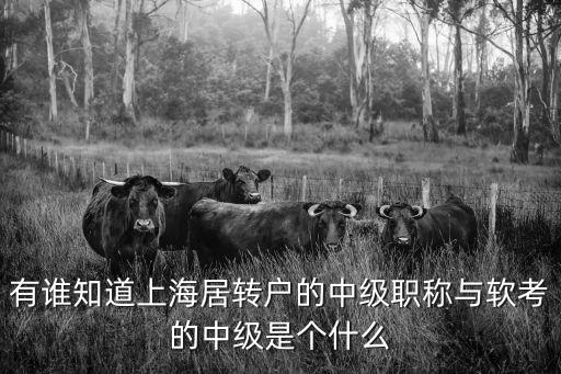 有誰知道上海居轉戶的中級職稱與軟考的中級是個什么