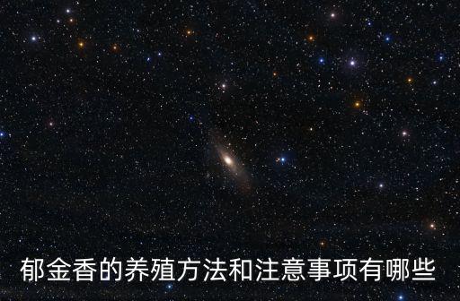 郁金香的養殖方法和注意事項有哪些