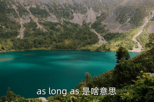 as long as 是啥意思