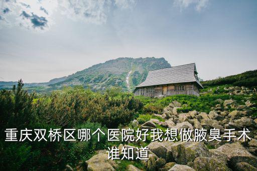 重慶雙橋區哪個醫院好我想做腋臭手術誰知道