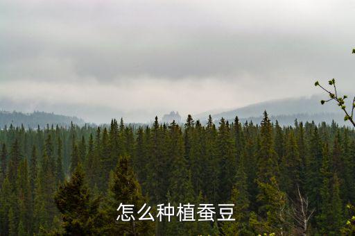 怎么種植蠶豆