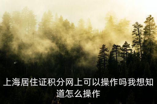 上海居住證積分網(wǎng)上可以操作嗎我想知道怎么操作