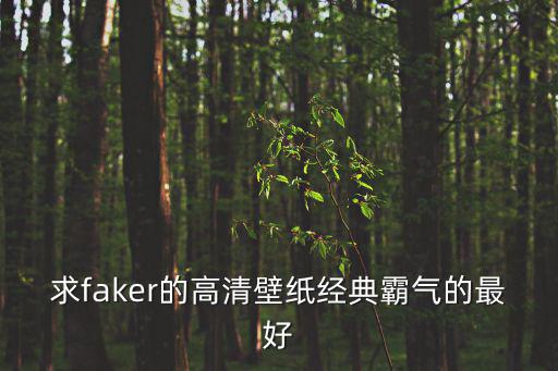 求faker的高清壁紙經(jīng)典霸氣的最好