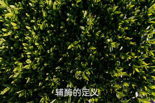 輔酶的定義