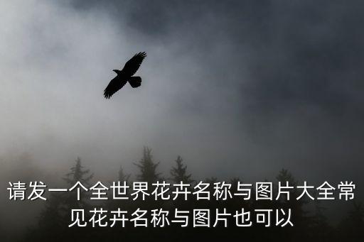 請發一個全世界花卉名稱與圖片大全常見花卉名稱與圖片也可以