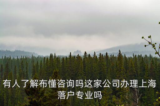 有人了解布懂咨詢嗎這家公司辦理上海落戶專業嗎
