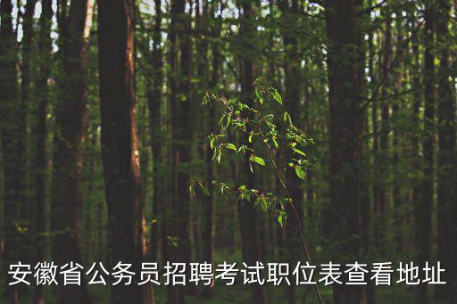 安徽省公務(wù)員招聘考試職位表查看地址