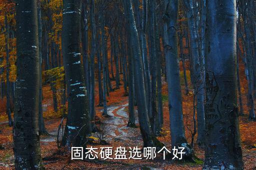 固態硬盤選哪個好