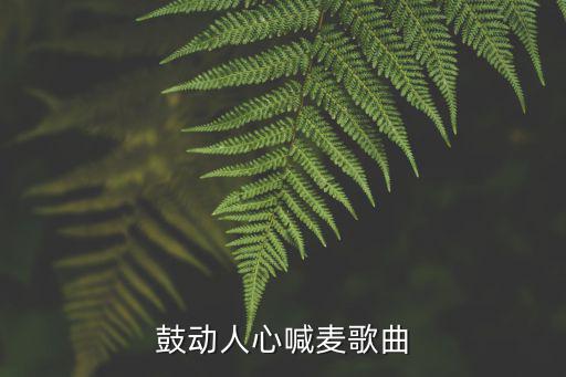 鼓動人心，鼓什么人心