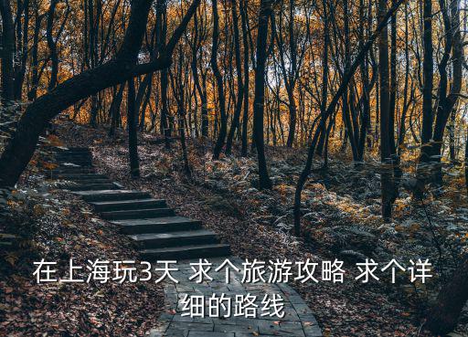 在上海玩3天 求個旅游攻略 求個詳細的路線