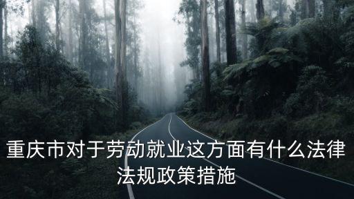 重慶市對于勞動就業這方面有什么法律法規政策措施
