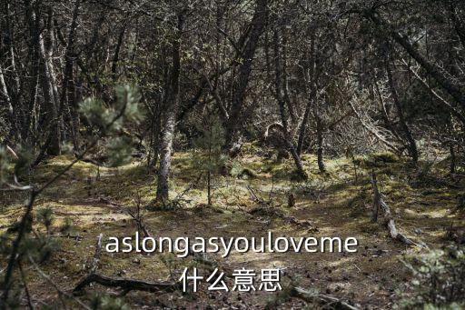 aslongasyouloveme什么意思