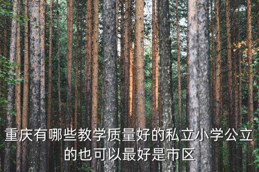 重慶有哪些教學質量好的私立小學公立的也可以最好是市區