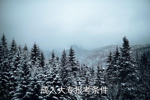 成人大專報考條件及要求，關于成年考大專有什么重要條件或需求