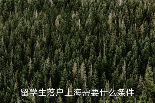 留學生落戶上海需要什么條件
