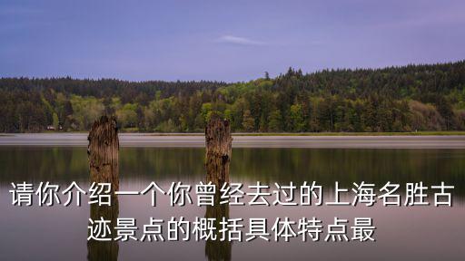 請你介紹一個你曾經去過的上海名勝古跡景點的概括具體特點最