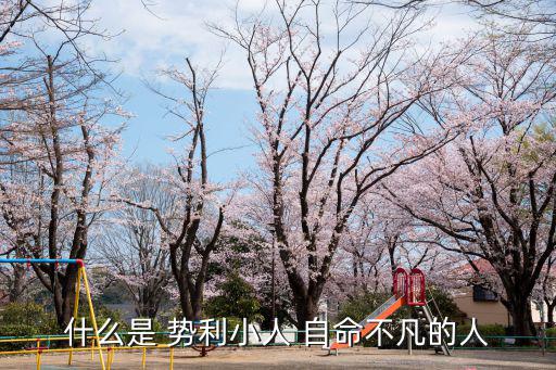 什么是 勢利小人 自命不凡的人