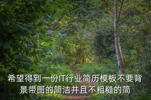 希望得到一份IT行業簡歷模板不要背景帶圖的簡潔并且不粗糙的簡