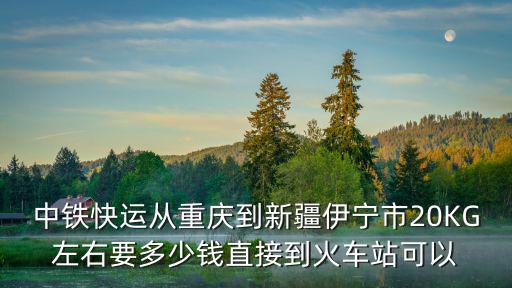 中鐵快運從重慶到新疆伊寧市20KG左右要多少錢直接到火車站可以