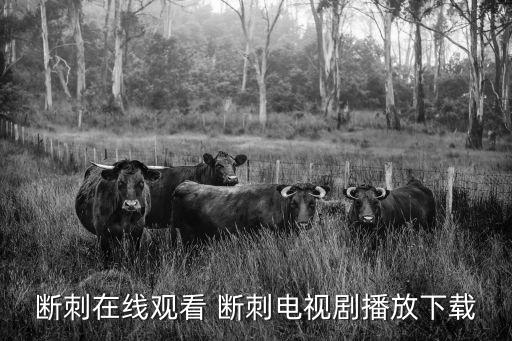 斷刺下載，web迅雷免費下載