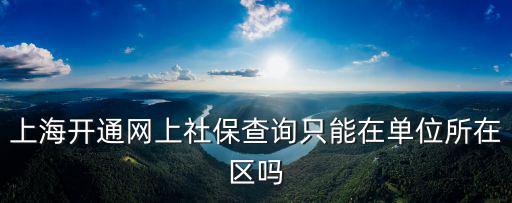 上海開通網上社保查詢只能在單位所在區嗎
