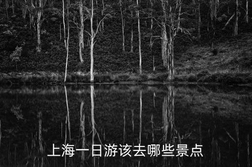 上海一日游該去哪些景點