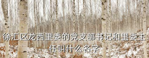 徐匯區龍西里委的黨支部書記和里委主任叫什么名字