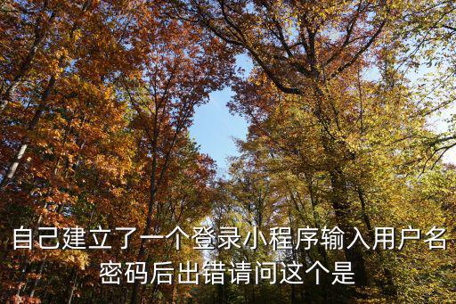自己建立了一個登錄小程序輸入用戶名密碼后出錯請問這個是
