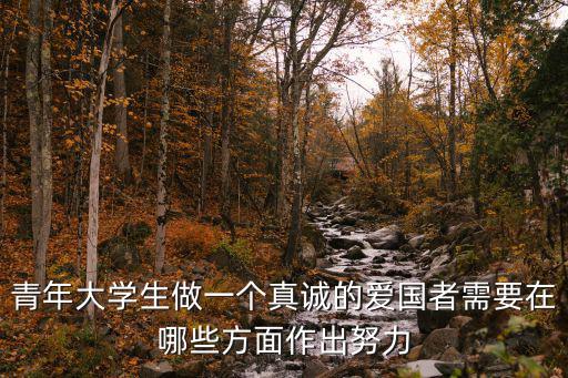青年大學(xué)生做一個(gè)真誠的愛國者需要在哪些方面作出努力