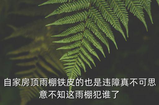 自家房頂雨棚鐵皮的也是違障真不可思意不知這雨棚犯誰(shuí)了