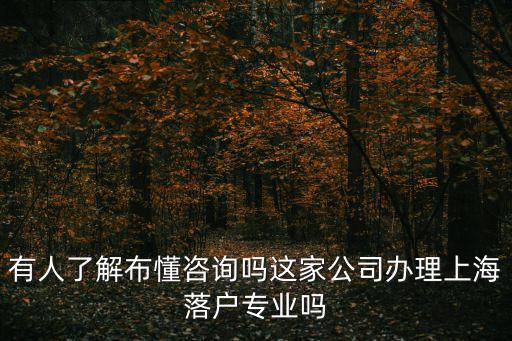 有人了解布懂咨詢嗎這家公司辦理上海落戶專業嗎