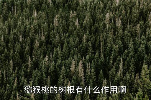 獼猴桃的樹根有什么作用啊