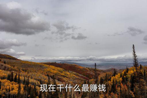現在干什么最賺錢
