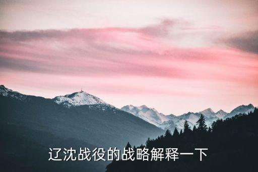 遼沈戰役的戰略解釋一下