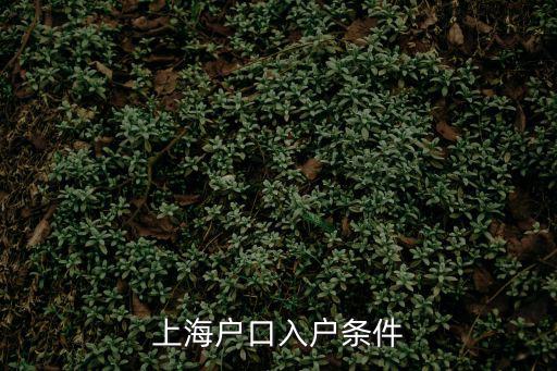 上海戶口入戶條件