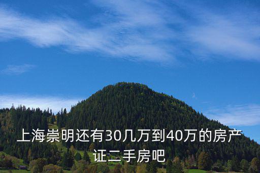 上海崇明還有30幾萬到40萬的房產證二手房吧