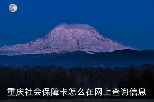 重慶社會保障卡怎么在網上查詢信息