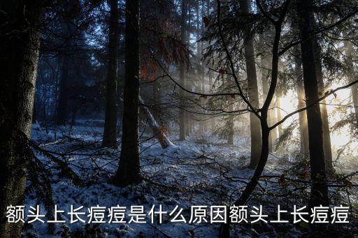 額頭上長痘痘是什么原因額頭上長痘痘