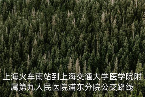 上海火車(chē)南站到上海交通大學(xué)醫(yī)學(xué)院附屬第九人民醫(yī)院浦東分院公交路線