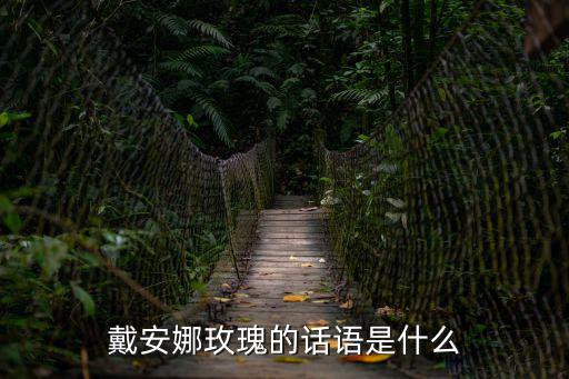 戴安娜花，玫瑰戴安娜品種的價格多少一支