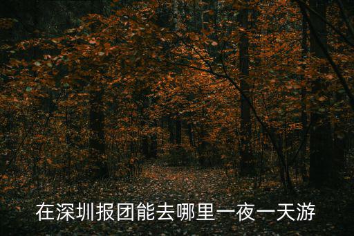 深圳一日游報團，深圳哪個旅行社可報珠海航展一日游