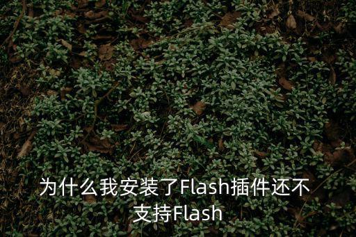 為什么我安裝了Flash插件還不 支持Flash