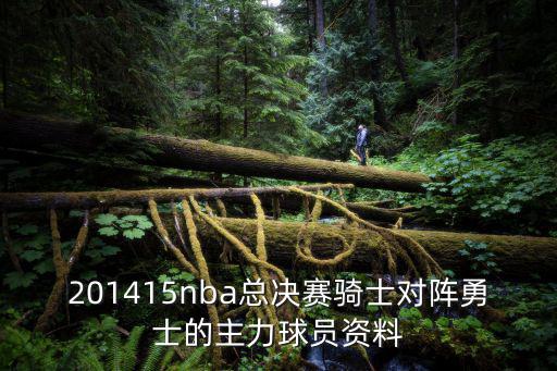 201415nba總決賽騎士對陣勇士的主力球員資料